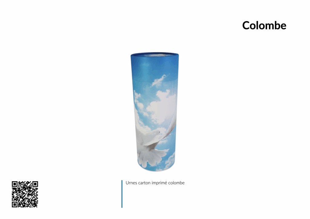 Urne en carton avec motif colombe.