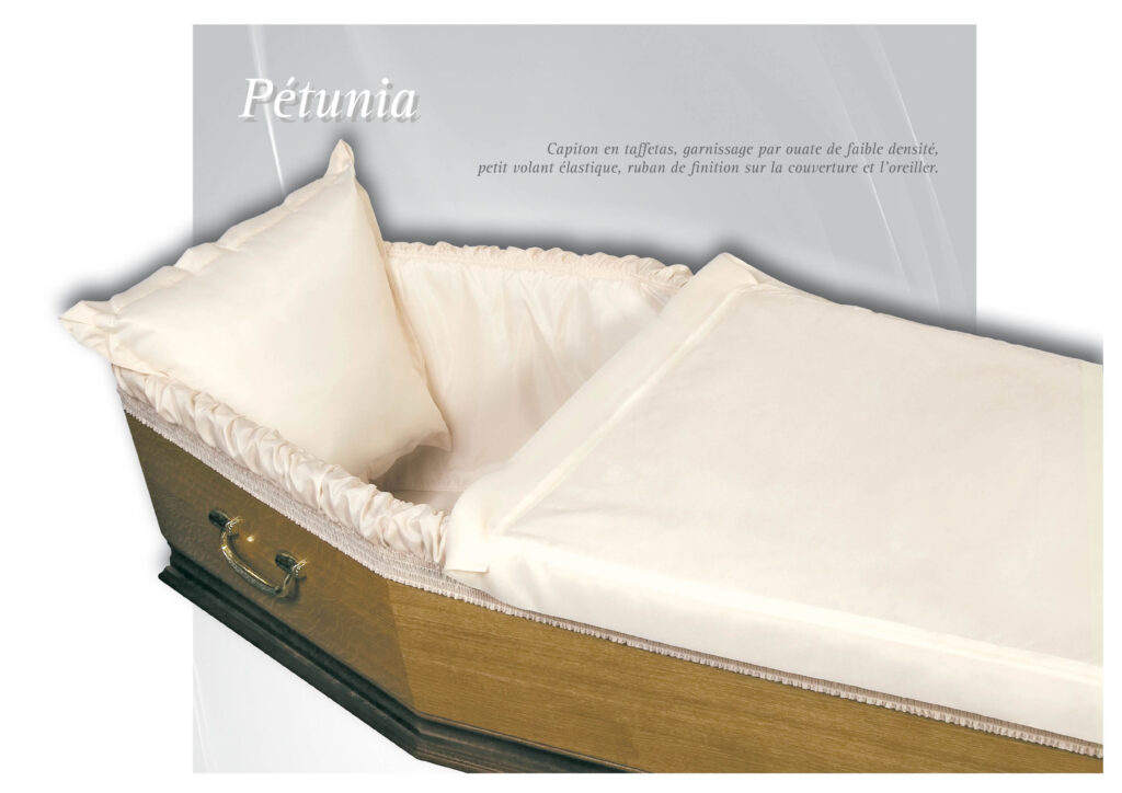 Cercueil en bois avec coussin crème élégant.
